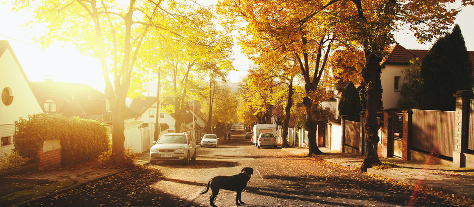Tip #5 – Determine How Much House You Can Afford