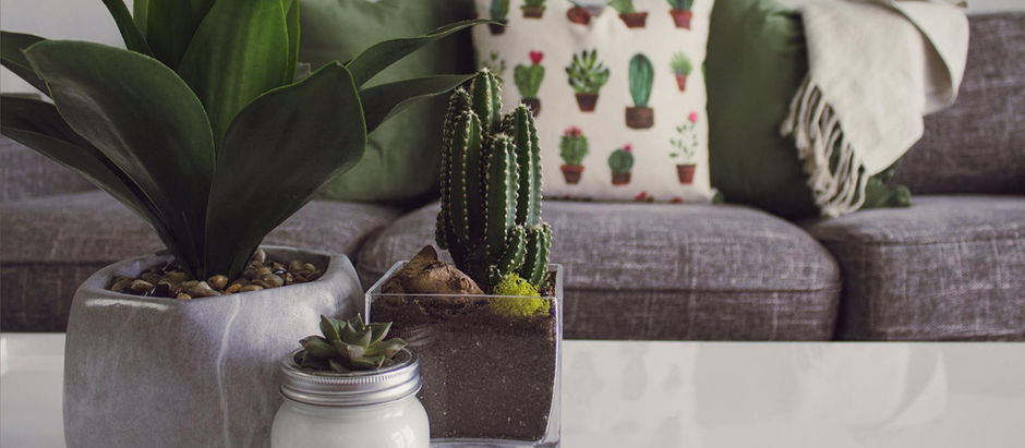 Tip #1 - When to Transition from Renting to Buying