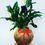 Thumbnail: Large Peace Lily Kokedama