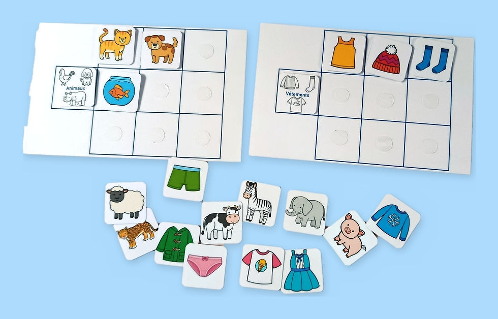 Jeu de tri par catégories : images d'animaux et de vêtements mélangées à ranger sur les fiches Animaux et Vêtements