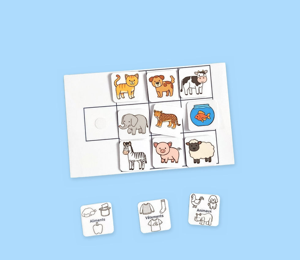 Jeu de catégorisation sémantique : fiche remplie d'images d'animaux et étiquettes catégories à placer