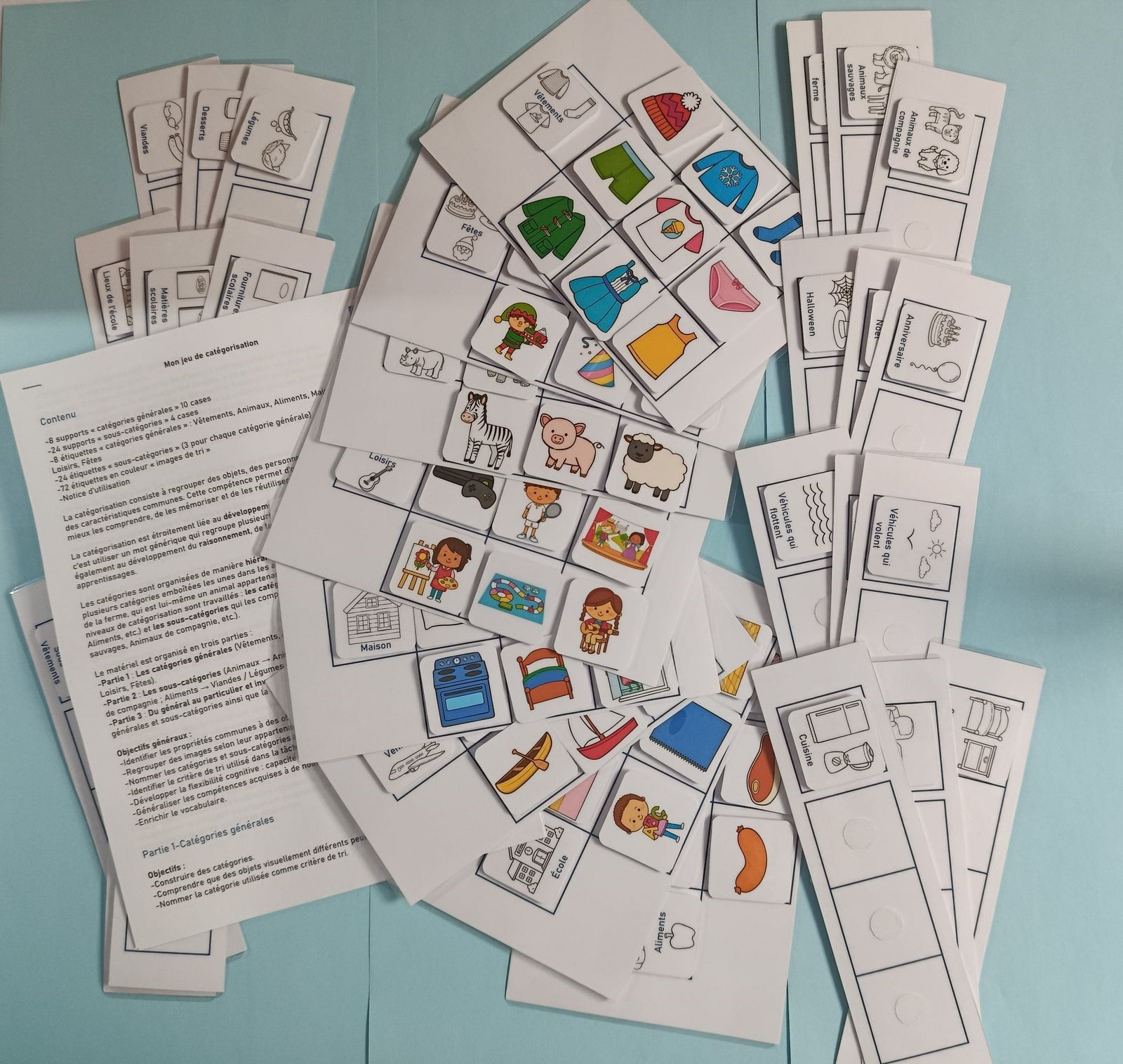 Mon jeu de catégorisation