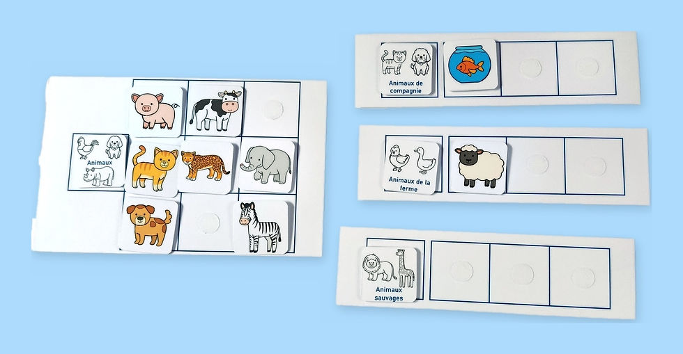 Jeu de tri par catégories : fiche Animaux redistribuée en sous-catégories ferme, compagnie et sauvages
