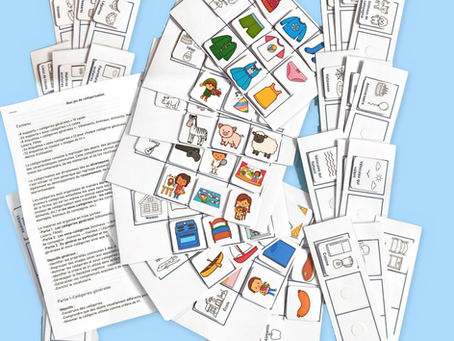Jeu de catégorisation sémantique : fiches, étiquettes et images de tri plastifiées