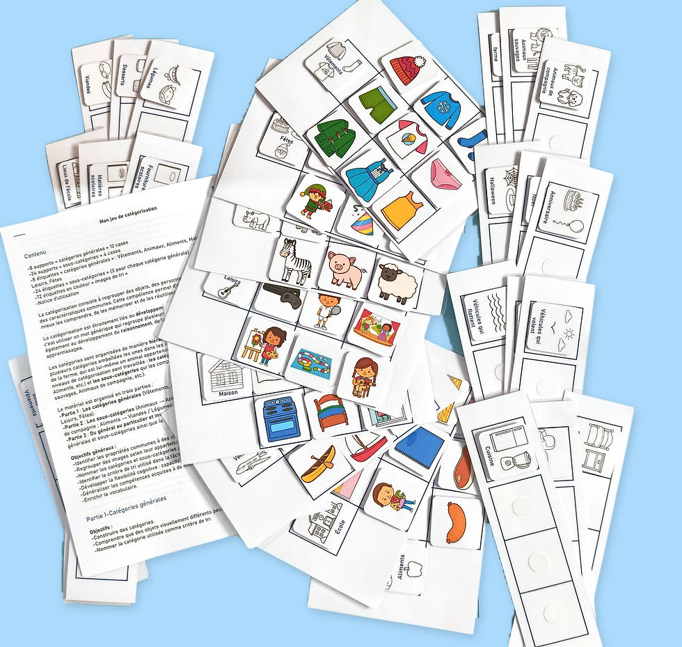Jeu de catégorisation sémantique : fiches, étiquettes et images de tri plastifiées