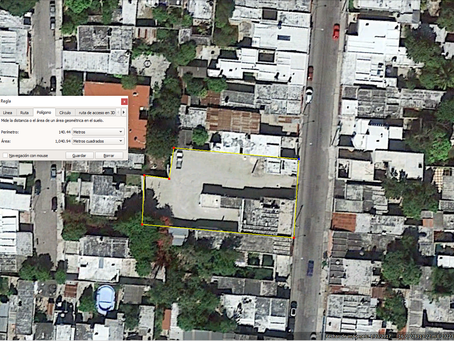 Google Earth vs Professional Surveyors