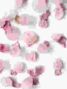 Bild: Luisa Hübner.bubbles.V.AT 2018