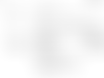 Our CAO Has an Impressive Resume - Or Does He?