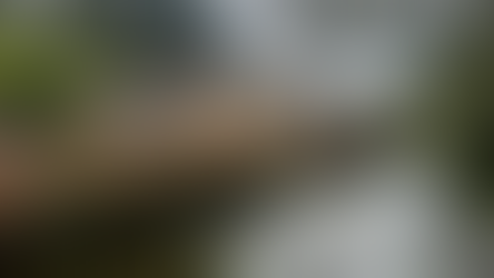 Glimpses of my first European Vacation to The City of The Tube