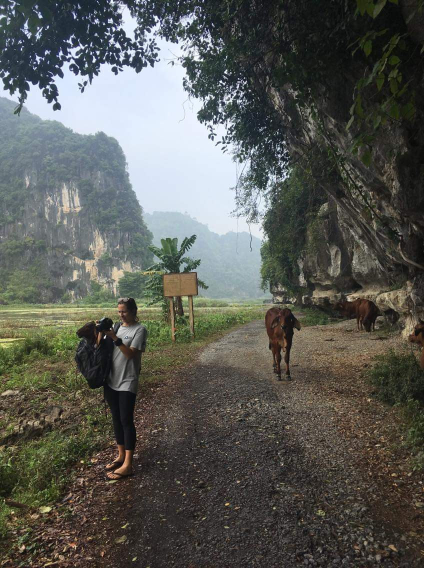 dirt road with girl and cow