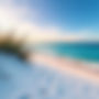white sand beach.jpg