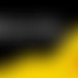 Maharashtra University student moves to Bombay HC for uniform exam mode.