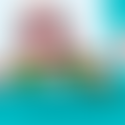 Top Three News From Supreme Court Of India [26th May]