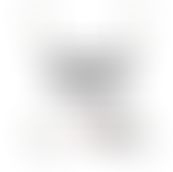 Single testicle no bar for the navy job: Punjab & Haryana HC