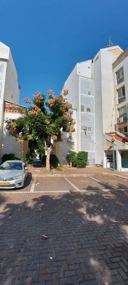 384cca_2b7b7c6dd4454bbc91182fb3d25e825d_mv2 (1)