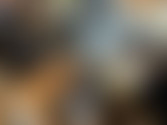 「静」 の時間を暮らしに