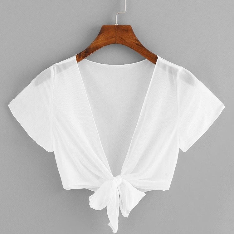 Plunge Sheer Tie Front Crop Top