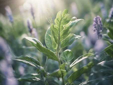 Cultivate Success: Organizational Guidance for Transformation