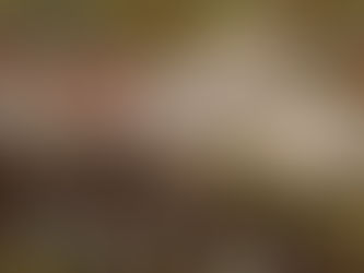 The Next "Lost Cause"