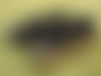 キリンチャレンジカップ2025 VS ガーナ代表