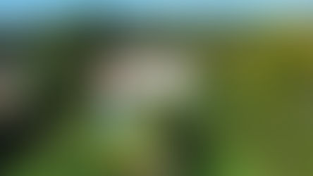 Louer une grande maison en Provence : la solution idéale pour des vacances en groupe dans le Sud de la France