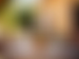 Pourquoi les plus beaux souvenirs de famille se créent en Provence (au DOMAINE DES CIGALES)