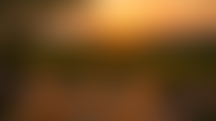 🌸 Slow Life en Provence : L’Art de Prendre le Temps au Domaine des Cigales 🌻🍷