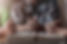 AdobeStock_219838597_Preview.jpeg