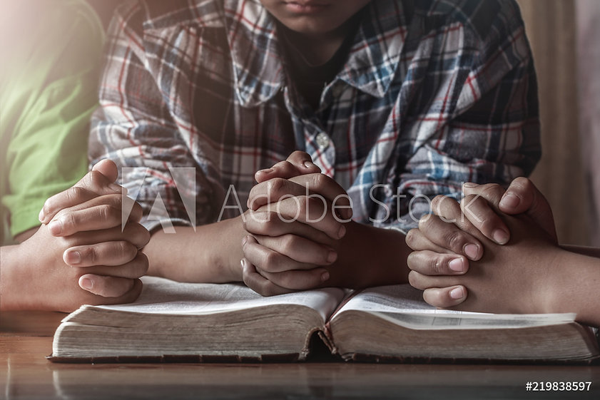 AdobeStock_219838597_Preview.jpeg