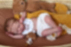 Miniaturbild: PRE ORDER " Little Bear " SILICONA PARCIAL
