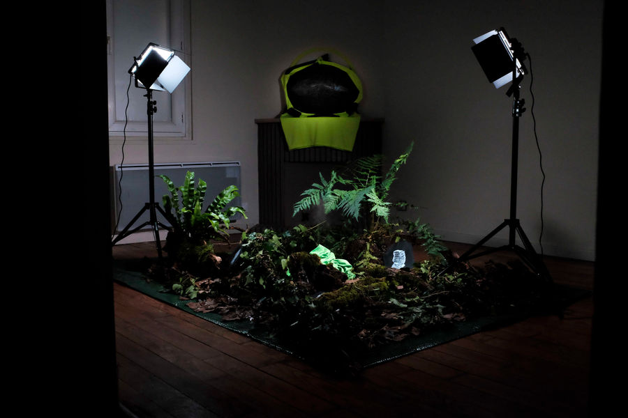 "Un monde post-sauvage" : first solo show of Romain Carré, curated by CRO, Félicien Grand d'Esnon & Alexis Loisel-Montambaux, exhibition views