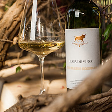  Spanish bulk wine specialist presenting white wine bottle in a vineyard – export-ready product
