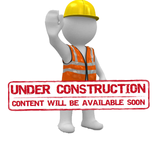 Participants engaging in the 4 Step Program activities