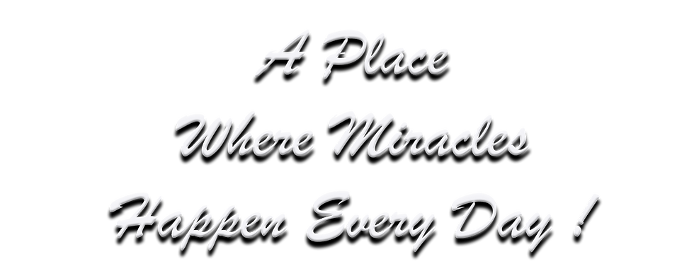 Miracles Happen Every Day
