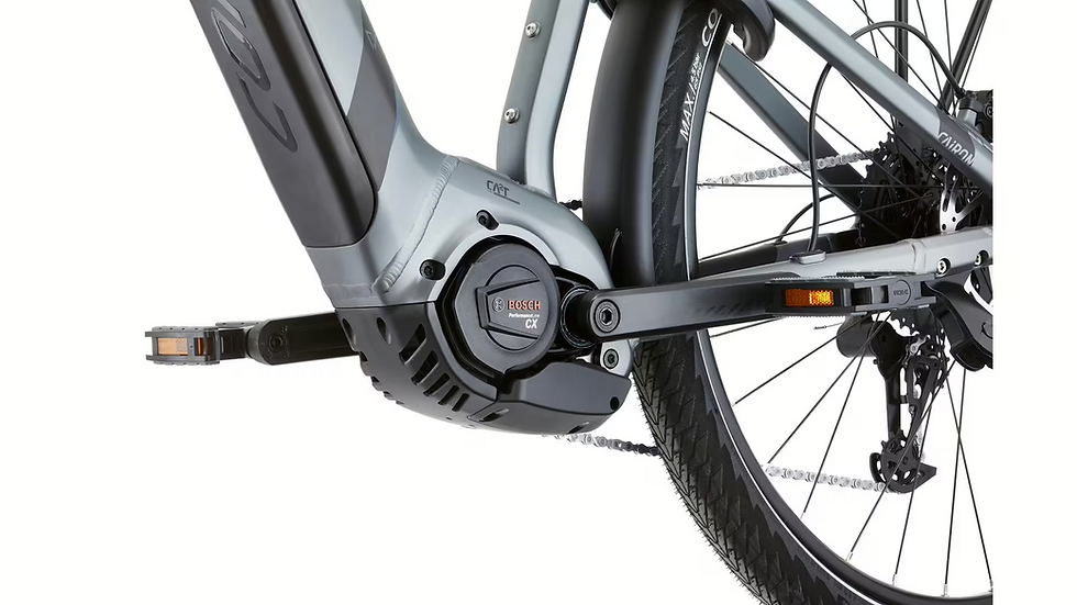Miniaturbild: Bosch PowerTube 750 Wh Akku am Conway Cairon T 3.0
