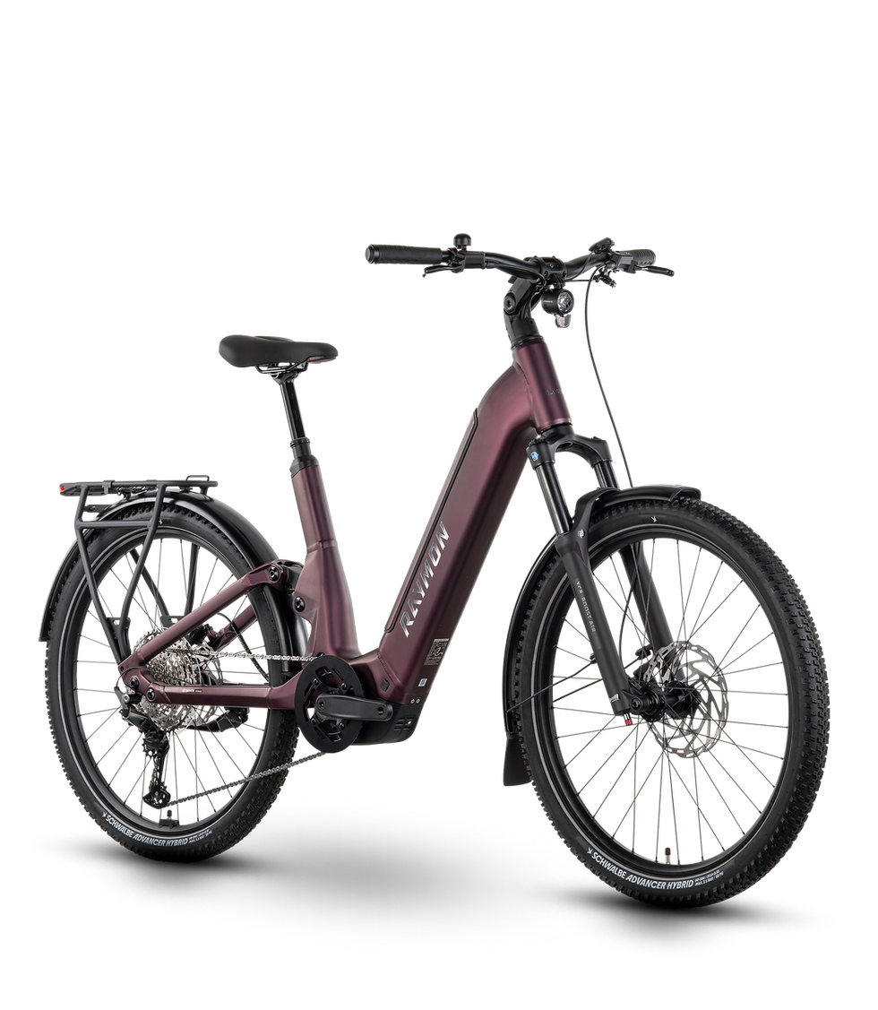 Raymon Tavano Pro 27.5 Spacebike Engen Bosch Performance Line PX
