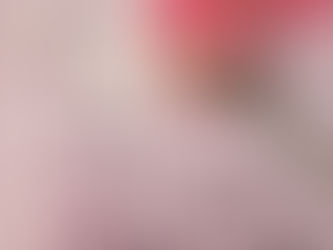 Blog 5: My top 5 favourite fridge magnets!