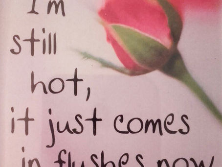 Blog 5: My top 5 favourite fridge magnets!