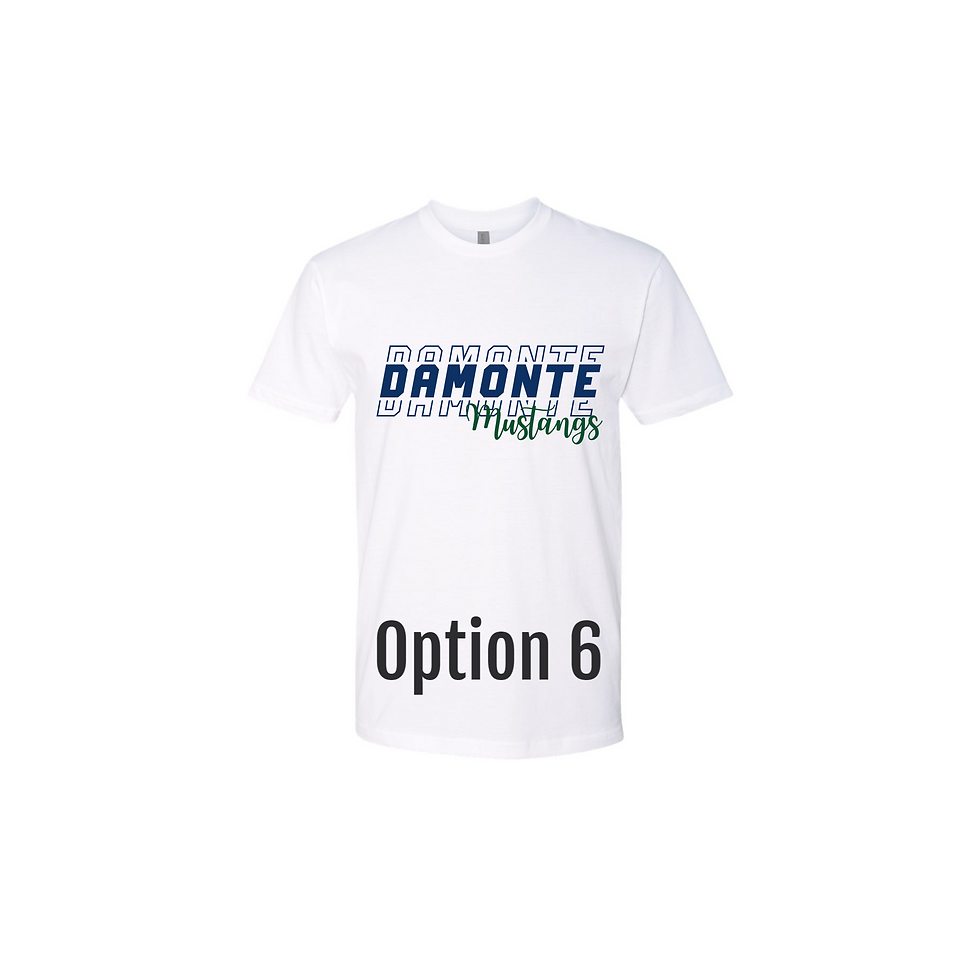 Thumbnail: DR Cheer Shirts