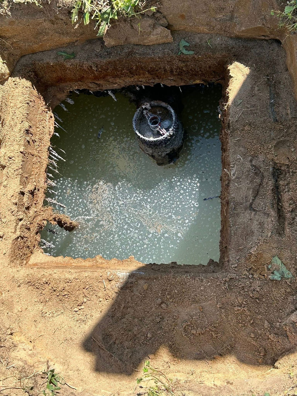 Before Septic Tank.jpeg
