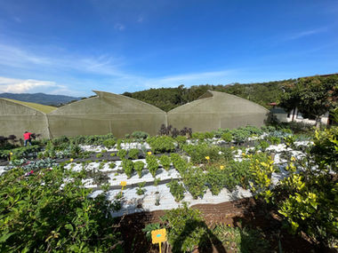 A farm in Costa Rica