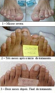 Folder balsamo verde .jpeg
