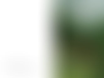 小説「Made in Heaven」発売