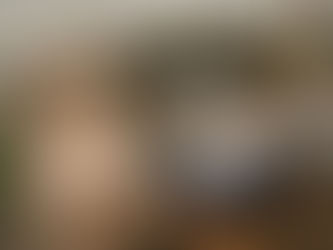 Where Does Your Charity Donation Actually Go? The Uncomfortable Truth About the Aid Industry