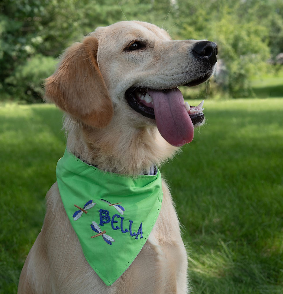 Thumbnail: Dragon Flies Embroidered Bandana