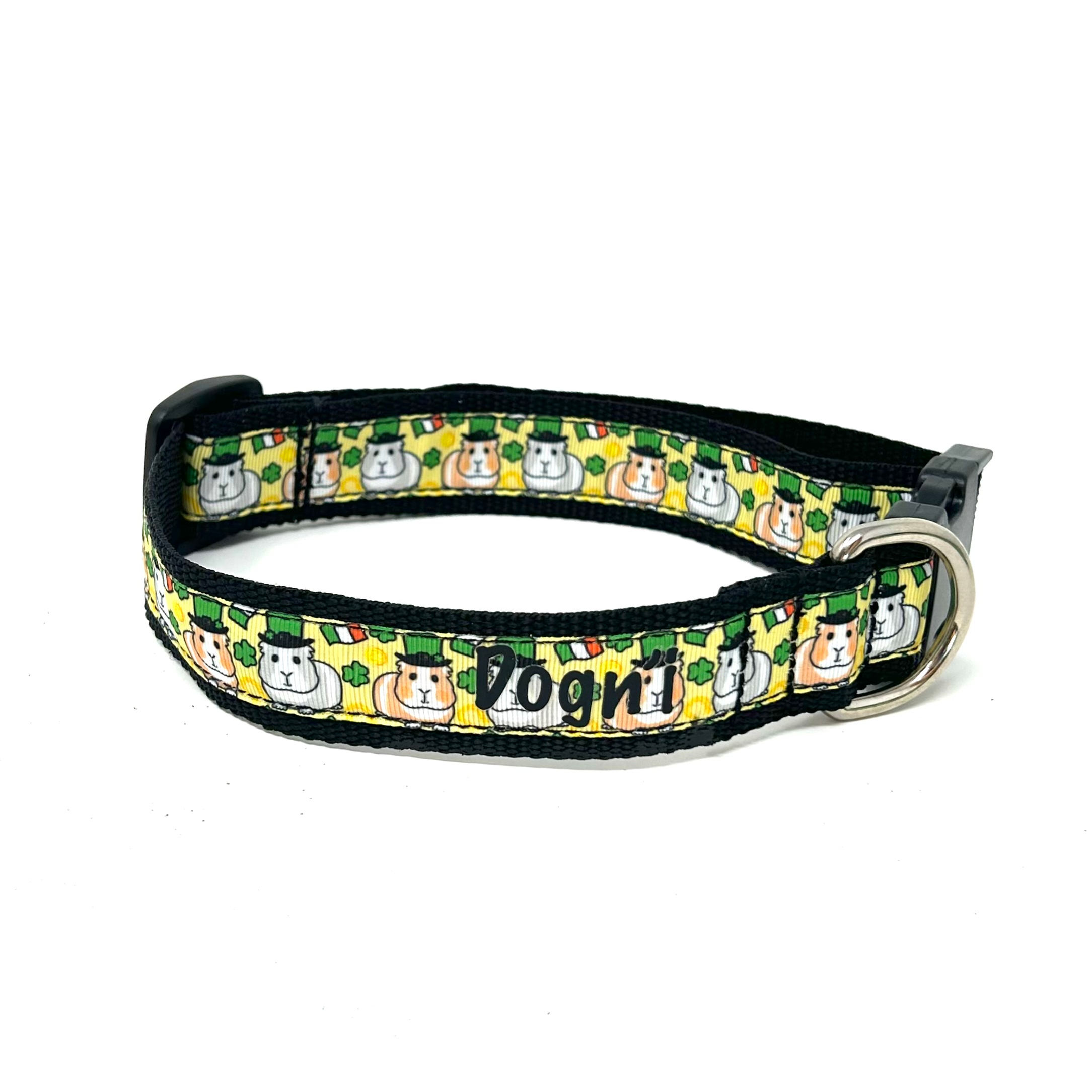 Guinea Pig St Patrick Day