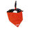 Thumbnail: Appliquéd Anchors Away  Bandana