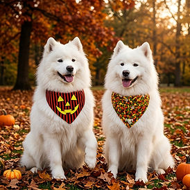 Jackolantern on dogs.jpeg