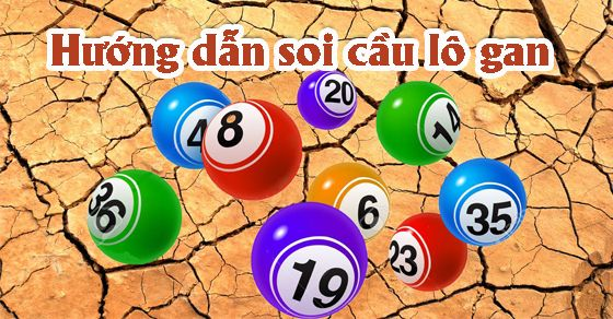 Tại sao nên đánh lô gan và nuôi lô gan như thế nào có lãi content media