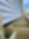 IMG_3837.jpeg